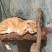 ヒメ日記 2025/05/27 21:06 投稿 あおい 栃木県デリバリーヘルス　人妻大田原・那須塩原デリヘルクラブ