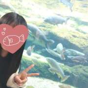 ヒメ日記 2025/06/01 21:32 投稿 あおい 栃木県デリバリーヘルス　人妻大田原・那須塩原デリヘルクラブ