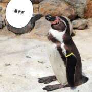 ヒメ日記 2025/06/07 21:34 投稿 あおい 栃木県デリバリーヘルス　人妻大田原・那須塩原デリヘルクラブ