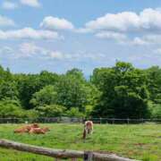 ヒメ日記 2025/06/16 17:26 投稿 あおい 栃木県デリバリーヘルス　人妻大田原・那須塩原デリヘルクラブ