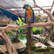 ヒメ日記 2025/06/18 19:00 投稿 あおい 栃木県デリバリーヘルス　人妻大田原・那須塩原デリヘルクラブ