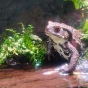 ヒメ日記 2025/06/26 21:56 投稿 あおい 栃木県デリバリーヘルス　人妻大田原・那須塩原デリヘルクラブ