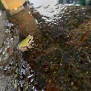 ヒメ日記 2025/08/01 19:14 投稿 あおい 栃木県デリバリーヘルス　人妻大田原・那須塩原デリヘルクラブ