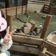 ヒメ日記 2025/08/11 02:36 投稿 あおい 栃木県デリバリーヘルス　人妻大田原・那須塩原デリヘルクラブ