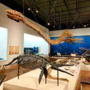 ヒメ日記 2025/09/09 02:08 投稿 あおい 栃木県デリバリーヘルス　人妻大田原・那須塩原デリヘルクラブ