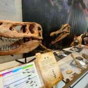 ヒメ日記 2025/09/28 01:12 投稿 あおい 栃木県デリバリーヘルス　人妻大田原・那須塩原デリヘルクラブ