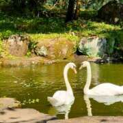 ヒメ日記 2025/10/11 22:08 投稿 あおい 栃木県デリバリーヘルス　人妻大田原・那須塩原デリヘルクラブ