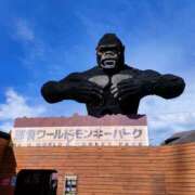 ヒメ日記 2025/10/13 00:26 投稿 あおい 栃木県デリバリーヘルス　人妻大田原・那須塩原デリヘルクラブ