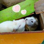 ヒメ日記 2025/10/18 19:58 投稿 あおい 栃木県デリバリーヘルス　人妻大田原・那須塩原デリヘルクラブ