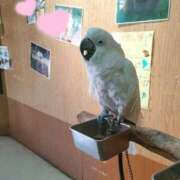 ヒメ日記 2025/10/20 01:24 投稿 あおい 栃木県デリバリーヘルス　人妻大田原・那須塩原デリヘルクラブ