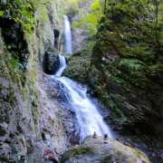 ヒメ日記 2025/12/11 02:06 投稿 あおい 栃木県デリバリーヘルス　人妻大田原・那須塩原デリヘルクラブ