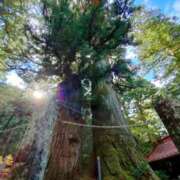 ヒメ日記 2026/01/05 19:22 投稿 あおい 栃木県デリバリーヘルス　人妻大田原・那須塩原デリヘルクラブ