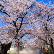 あおい 儚！ 栃木県デリバリーヘルス　人妻大田原・那須塩原デリヘルクラブ