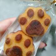 あおい 肉球！ 栃木県デリバリーヘルス　人妻大田原・那須塩原デリヘルクラブ