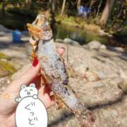 ヒメ日記 2026/05/01 22:56 投稿 あおい 栃木県デリバリーヘルス　人妻大田原・那須塩原デリヘルクラブ