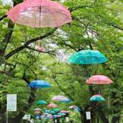 ヒメ日記 2026/06/24 01:18 投稿 あおい 栃木県デリバリーヘルス　人妻大田原・那須塩原デリヘルクラブ