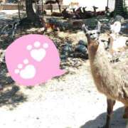 ヒメ日記 2026/08/09 01:40 投稿 あおい 栃木県デリバリーヘルス　人妻大田原・那須塩原デリヘルクラブ
