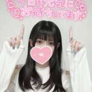 ヒメ日記 2026/09/12 22:54 投稿 あおい 栃木県デリバリーヘルス　人妻大田原・那須塩原デリヘルクラブ