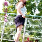 ヒメ日記 2025/09/05 17:46 投稿 千葉はるな 五十路マダムエクスプレス船橋店(カサブランカグループ)