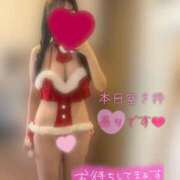 ヒメ日記 2025/12/13 10:47 投稿 三浦ありな アロマピュアン新橋（シンデレラグループ）