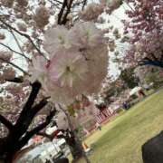 ヒメ日記 2026/04/14 10:03 投稿 ひびき フロンティア