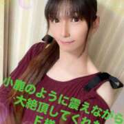 ヒメ日記 2025/02/02 15:30 投稿 魚住海瑠 ニューハーフヘルスLIBE大阪梅田店