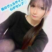 ヒメ日記 2025/02/18 18:36 投稿 魚住海瑠 ニューハーフヘルスLIBE大阪梅田店