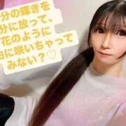 ヒメ日記 2025/02/27 10:16 投稿 魚住海瑠 ニューハーフヘルスLIBE大阪梅田店