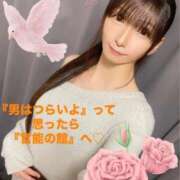 ヒメ日記 2025/03/03 18:46 投稿 魚住海瑠 ニューハーフヘルスLIBE大阪梅田店