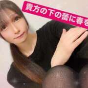 ヒメ日記 2025/03/19 12:46 投稿 魚住海瑠 ニューハーフヘルスLIBE大阪梅田店