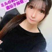 ヒメ日記 2025/04/03 22:27 投稿 魚住海瑠 ニューハーフヘルスLIBE大阪梅田店