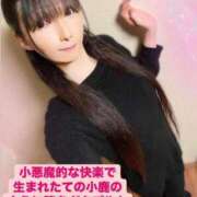 ヒメ日記 2025/04/18 19:06 投稿 魚住海瑠 ニューハーフヘルスLIBE大阪梅田店