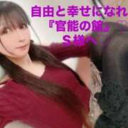 ヒメ日記 2025/06/15 15:26 投稿 魚住海瑠 ニューハーフヘルスLIBE大阪梅田店