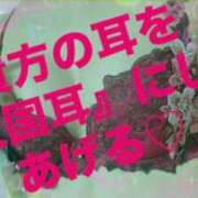 ヒメ日記 2025/07/28 09:36 投稿 魚住海瑠 ニューハーフヘルスLIBE大阪梅田店