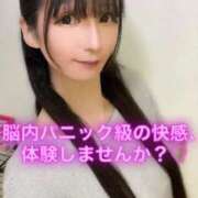 ヒメ日記 2025/11/04 10:16 投稿 魚住海瑠 ニューハーフヘルスLIBE大阪梅田店