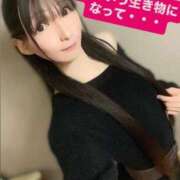 ヒメ日記 2025/11/27 12:36 投稿 魚住海瑠 ニューハーフヘルスLIBE大阪梅田店