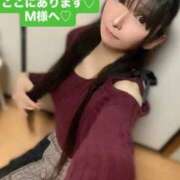 ヒメ日記 2025/12/10 07:16 投稿 魚住海瑠 ニューハーフヘルスLIBE大阪梅田店