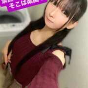 ヒメ日記 2025/12/12 12:46 投稿 魚住海瑠 ニューハーフヘルスLIBE大阪梅田店