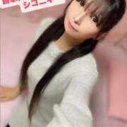 ヒメ日記 2025/12/14 08:18 投稿 魚住海瑠 ニューハーフヘルスLIBE大阪梅田店