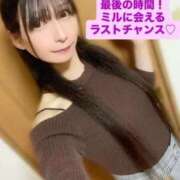 ヒメ日記 2026/01/20 11:56 投稿 魚住海瑠 ニューハーフヘルスLIBE大阪梅田店