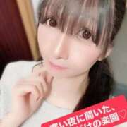 ヒメ日記 2026/01/21 10:16 投稿 魚住海瑠 ニューハーフヘルスLIBE大阪梅田店