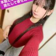 ヒメ日記 2026/02/13 12:36 投稿 魚住海瑠 ニューハーフヘルスLIBE大阪梅田店