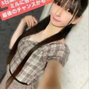 ヒメ日記 2026/03/15 20:26 投稿 魚住海瑠 ニューハーフヘルスLIBE大阪梅田店