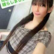 ヒメ日記 2026/03/28 15:36 投稿 魚住海瑠 ニューハーフヘルスLIBE大阪梅田店