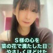 ヒメ日記 2026/03/28 17:16 投稿 魚住海瑠 ニューハーフヘルスLIBE大阪梅田店