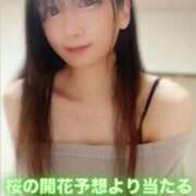 ヒメ日記 2026/04/13 12:36 投稿 魚住海瑠 ニューハーフヘルスLIBE大阪梅田店