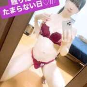 ヒメ日記 2026/09/14 12:36 投稿 魚住海瑠 ニューハーフヘルスLIBE大阪梅田店