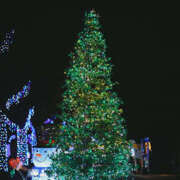 ヒメ日記 2024/12/14 18:05 投稿 桐谷まつり DEEPS成田店