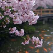 ヒメ日記 2025/04/06 15:25 投稿 桐谷まつり DEEPS成田店