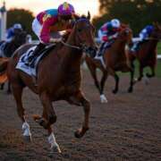 ヒメ日記 2025/06/25 15:05 投稿 桐谷まつり DEEPS成田店